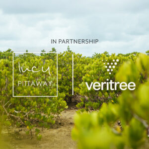 Lucy Pittaway and Veritree collaboration — saplings planted in a woodland, symbolising reforestation and environmental restoration in partnership with the artist.