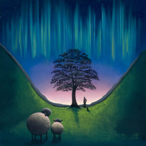 “Painting by Lucy Pittaway of the iconic Sycamore Gap tree beside Hadrian’s Wall, Northumberland, under a moody sky — a tribute to the felled landmark.”