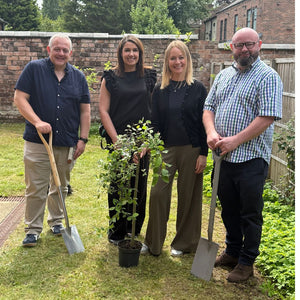 Can Tiny Forests Transform Healthcare Spaces