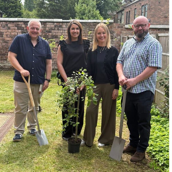 Can Tiny Forests Transform Healthcare Spaces