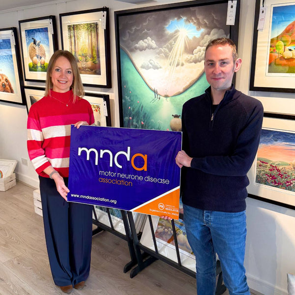 Review of 2025: New Collections and Big Milestones