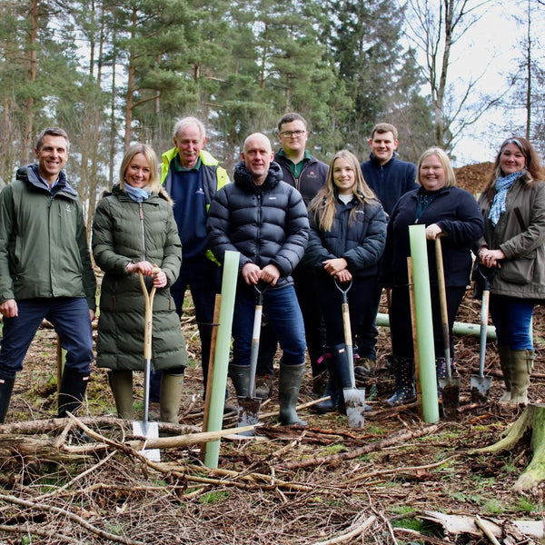 Sycamore Gap – Our Story so Far!