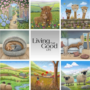 The New Collection is Here!