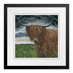 The Colonel 15" Framed in Web Black