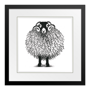 Swaledale Stan 10" Framed in Web Black