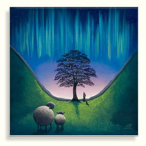 Sycamore Gap Canvas Only / 22inch x 22inch / Canvas Only
