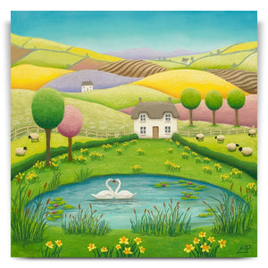 Where Dreams Come True