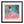 Rose - Artist Proof