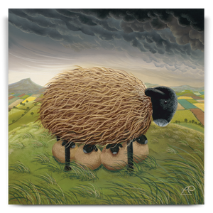 Sheltering From The Storm