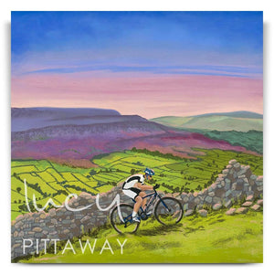 Riding High in Swaledale