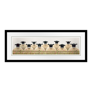 Class Of 2016 16" x 4"