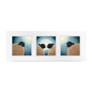 Me, Together Forever, You