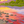 The Lonely Tree - Original Artwork