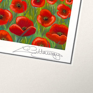 Poppies and Peace - Artist Proof