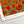 Poppies and Peace - Artist Proof