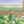 Richmond at Dawn - Original Artwork