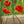 We Will Remember Them