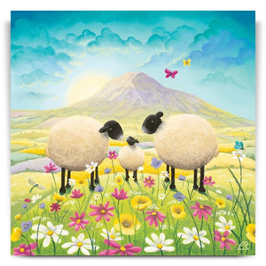 Butterflies and Babies