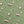 Christmas Wrapping Paper - Pine Green