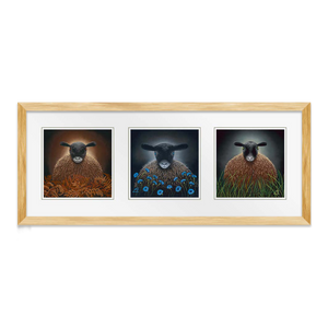 Brown Eyes, Blue Eyes, Green Eyes Triple Set