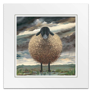 Shaggy Sheep