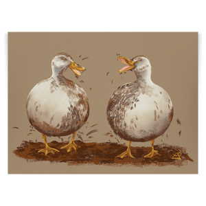 Mucky Ducks