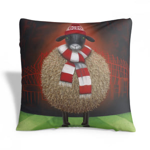 Up The Boro Cushion