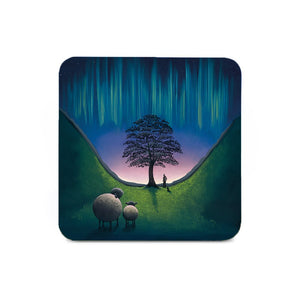 Sycamore Gap Single Coaster