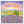 Lavender Fields