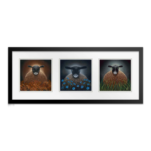 Brown Eyes, Blue Eyes, Green Eyes Triple Set